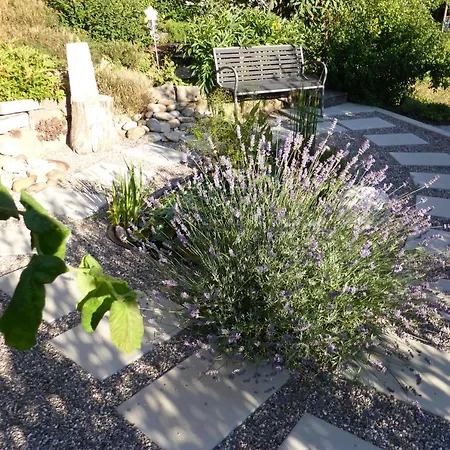 Haus Ulrike-maria Апартаменты *